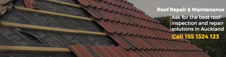 inspection & roof repair auckland